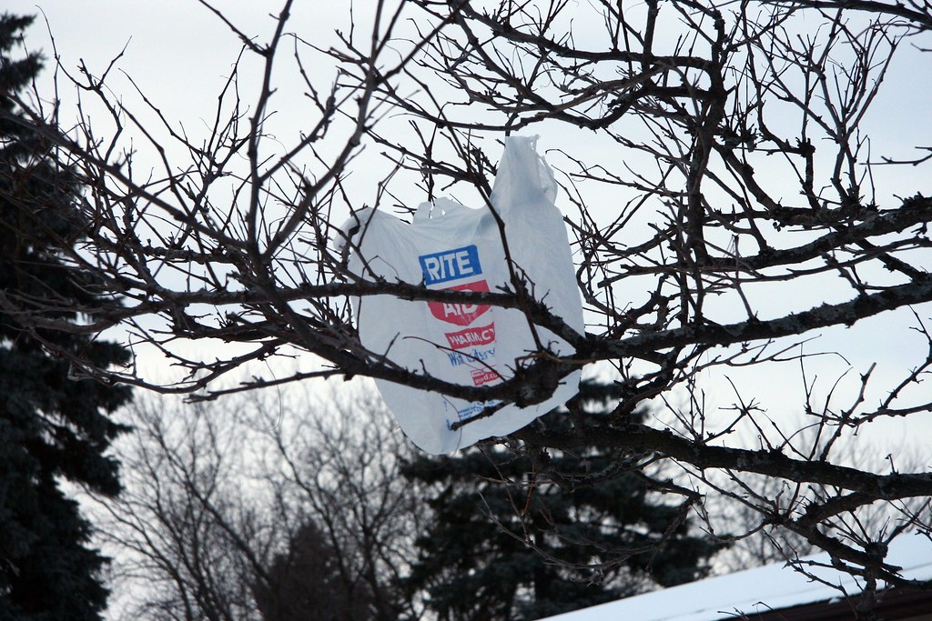 The Last Word: Plastic Bags Should Be Banned in PA