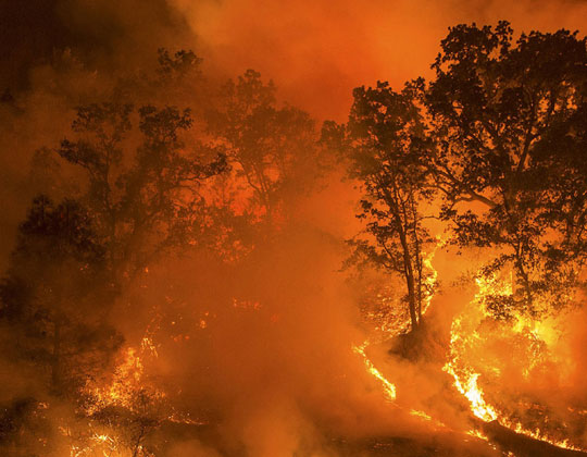 Paradise on Fire