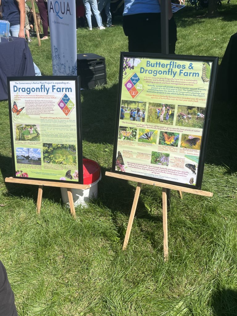 Community Comes Together at Upper Perkiomen Bird and Wildlife Festival
