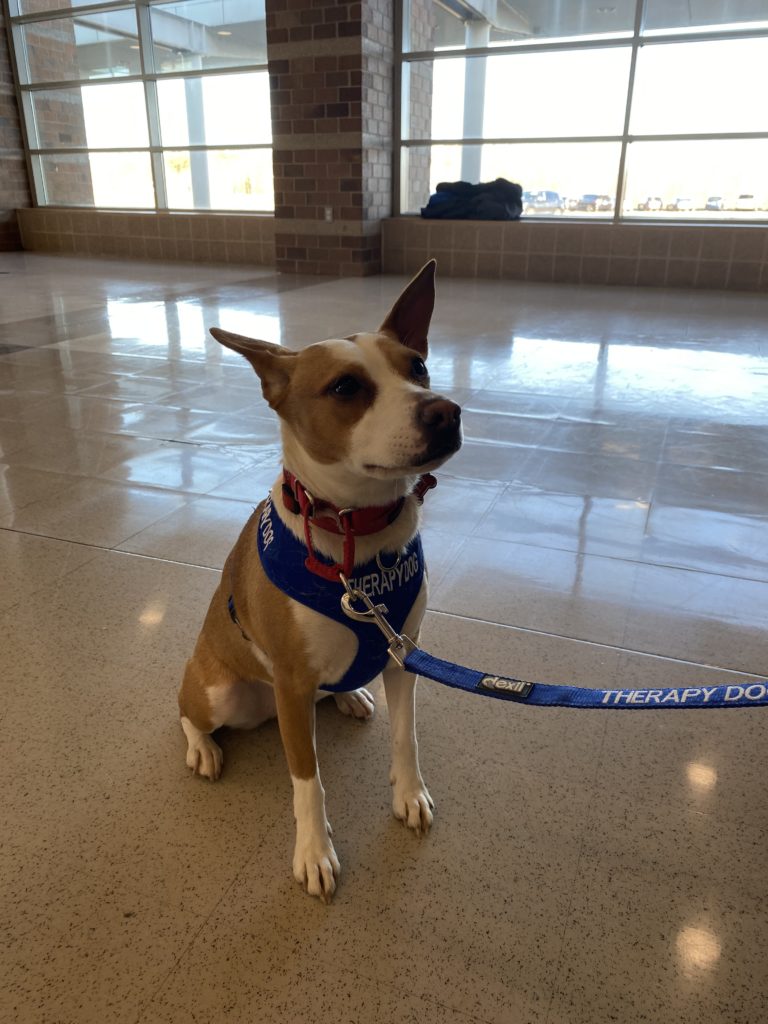 Middle School West Welcomes A New Four-Legged Friend